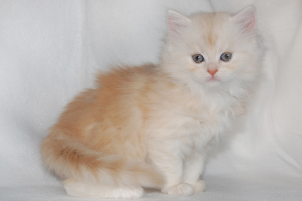 DSC_0272 (2).JPG - Cilian-6 Wochen